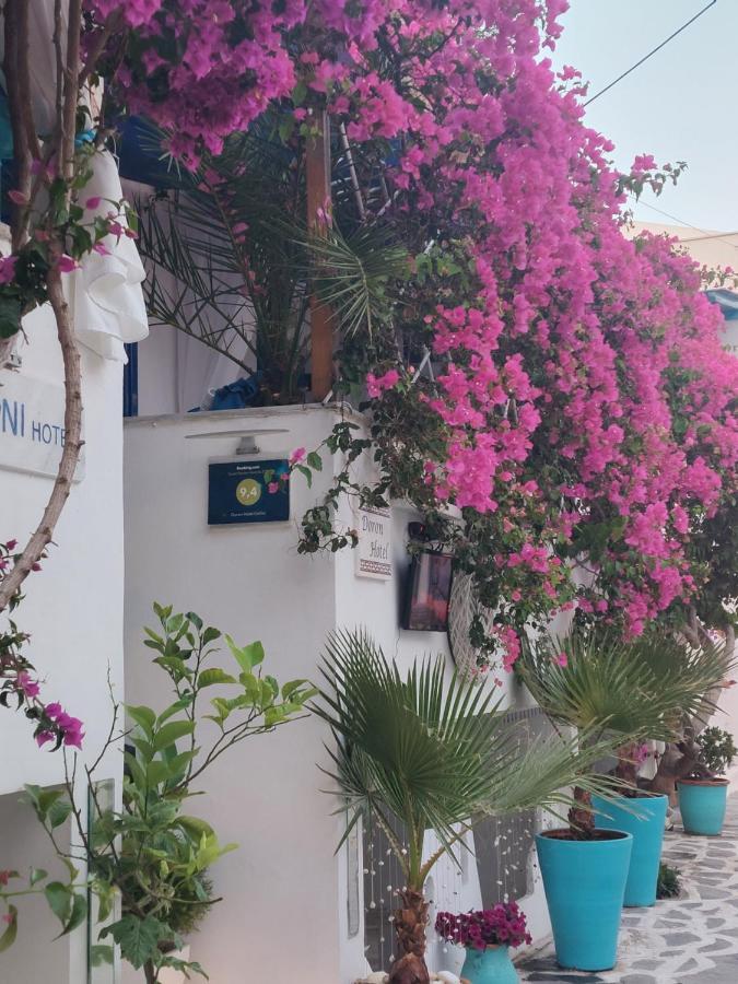 Doron Hotel Delfini Naxos City Exterior photo