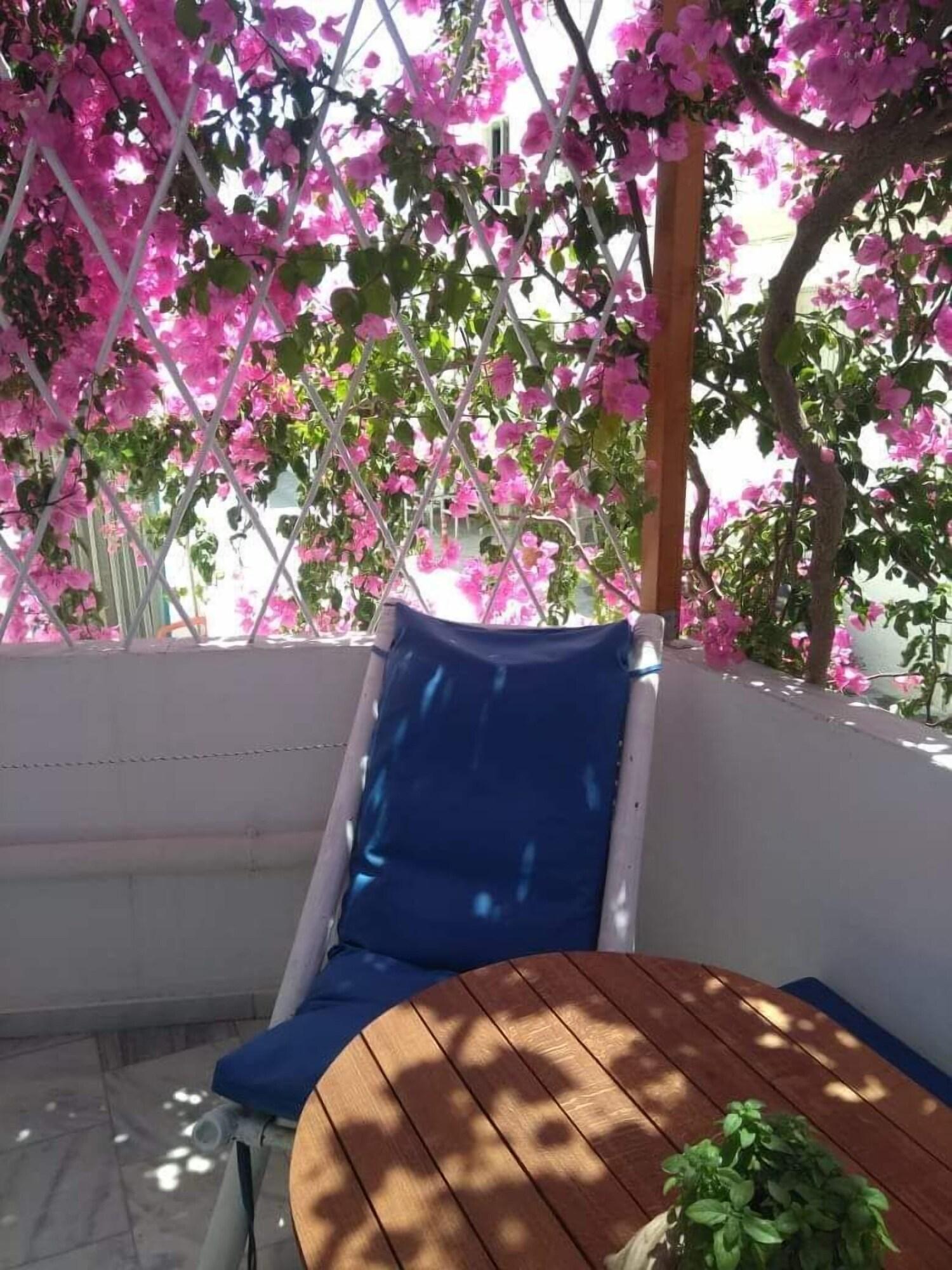 Doron Hotel Delfini Naxos City Exterior photo
