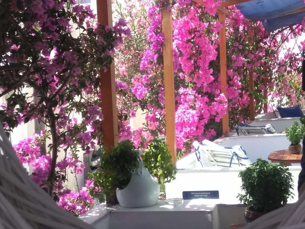 Doron Hotel Delfini Naxos City Exterior photo
