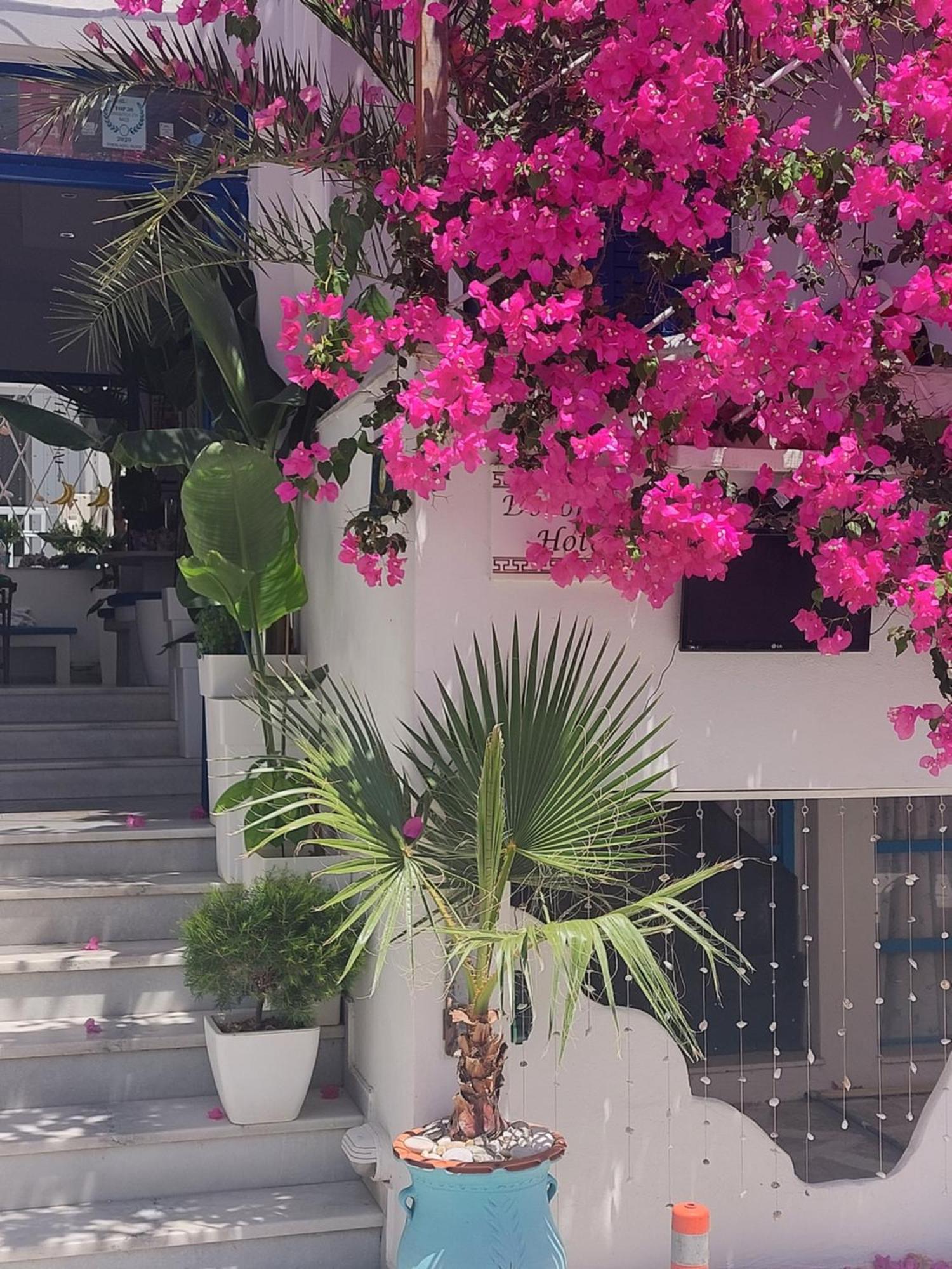 Doron Hotel Delfini Naxos City Exterior photo