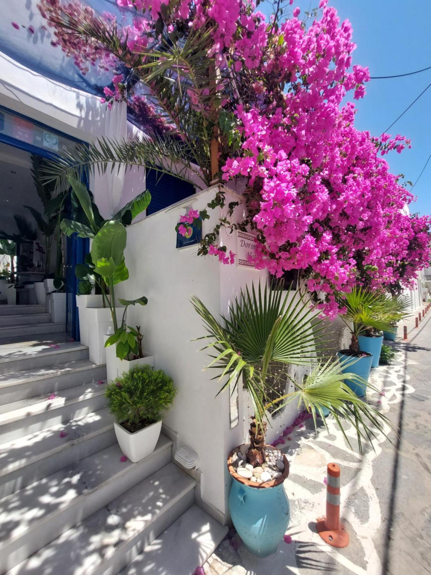 Doron Hotel Delfini Naxos City Exterior photo