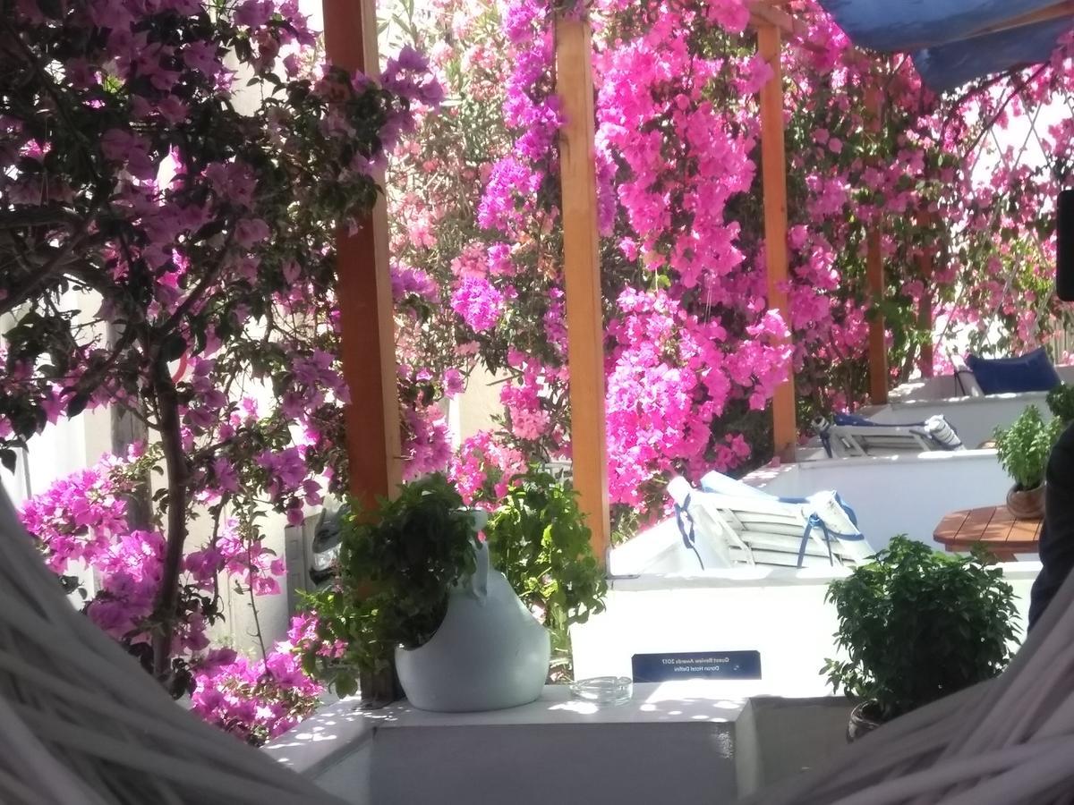 Doron Hotel Delfini Naxos City Exterior photo