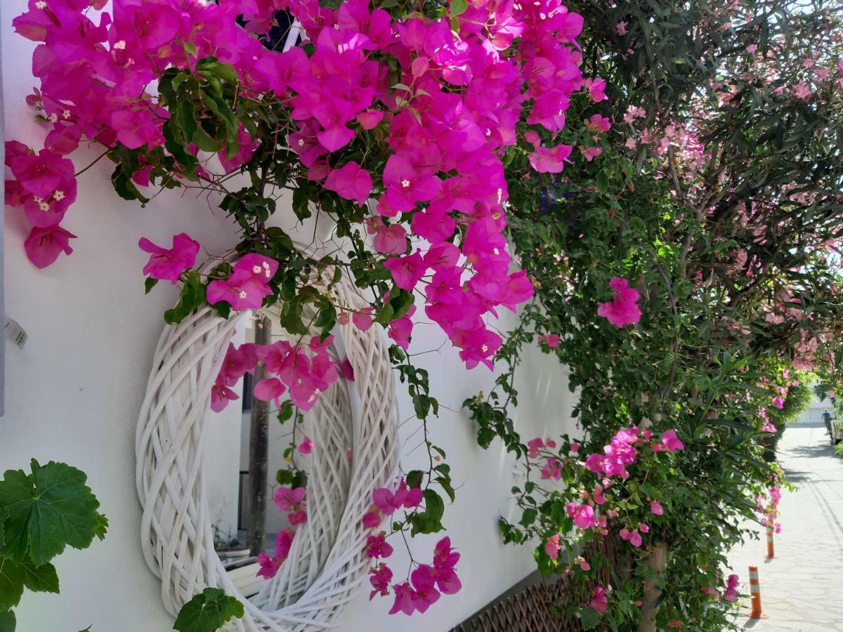 Doron Hotel Delfini Naxos City Exterior photo